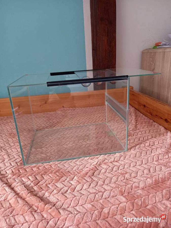 Terarium Gorzów Wielkopolski sprzedam