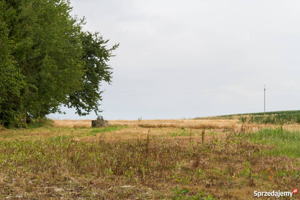 SIEDLISKO Spokojna okolica do