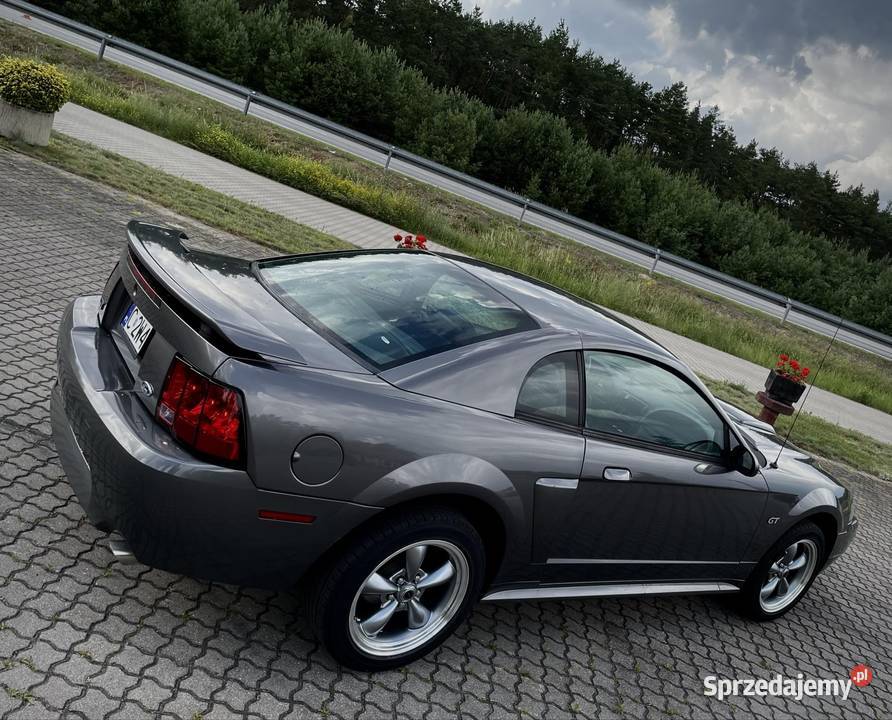 Ford Mustang GT 46 v8 Super stan elektrochrom. lusterko wst. Skępe sprzedam