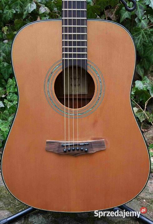 Nowa gitara akustyczna Morrison MM 5D Satin łódzkie Tuszyn