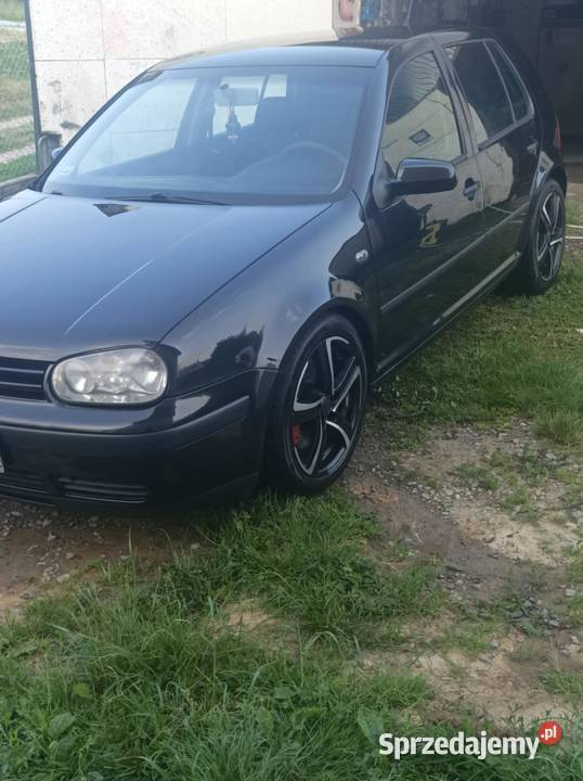 golf iv małopolskie Niepołomice