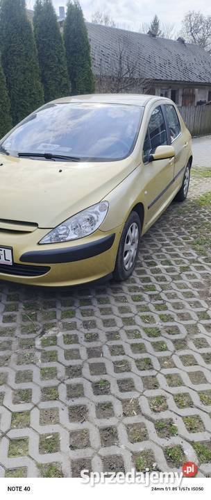 Peugeot 307 Wdziękoń Drugi