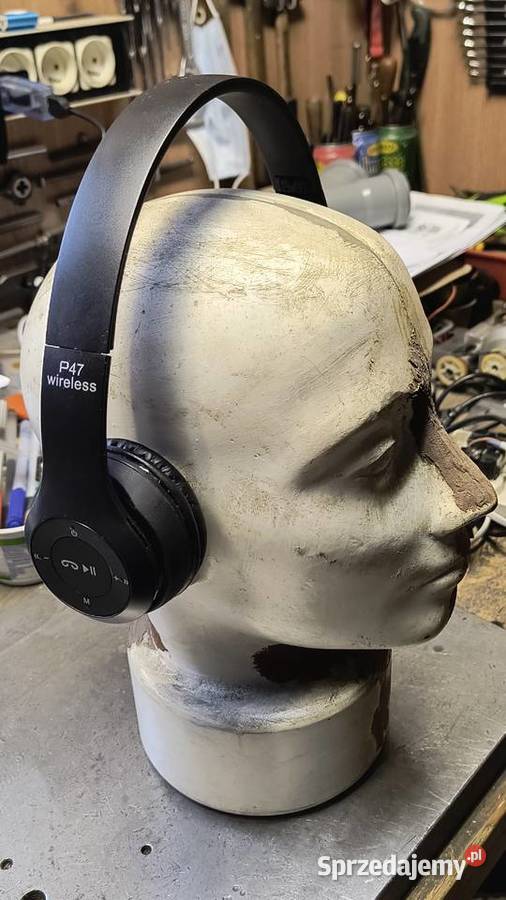 Model ludzkiej głowy Bielsko-Biała