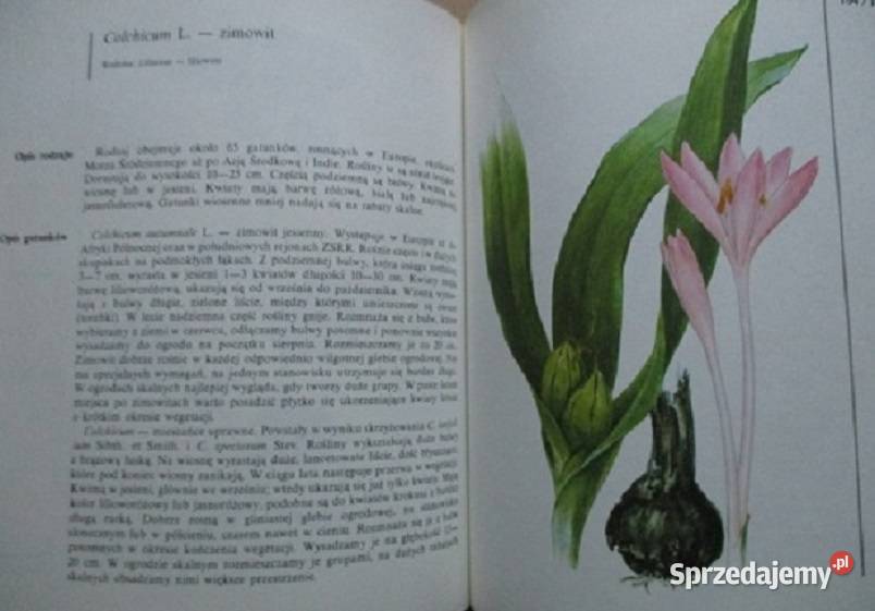 1001 sposobów na piękny ogródUprawa warzywOgród Łódź