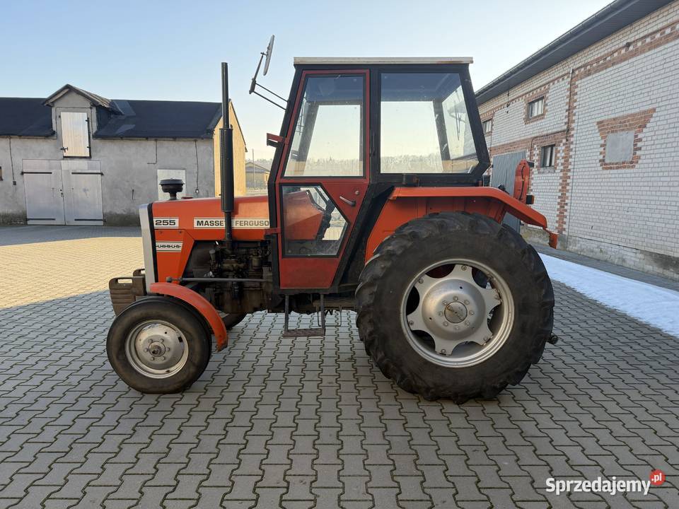 Ursus Massey Ferguson 255 1490 mtg Cedrowice-Parcela