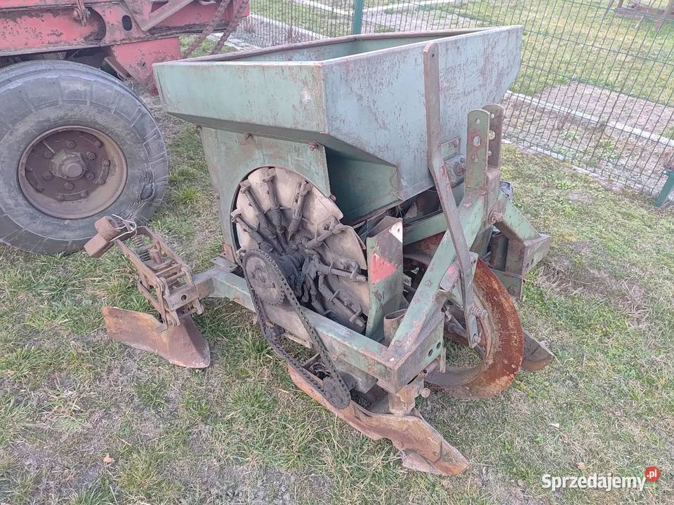 Sadzarka czeska nieuszkodzony Zabrze