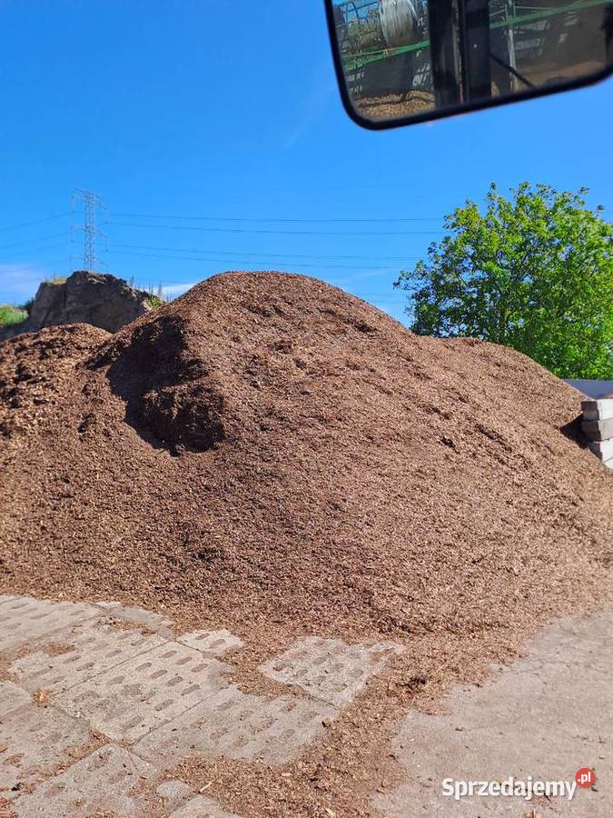 Kora sosnowa drobna luz Poznań