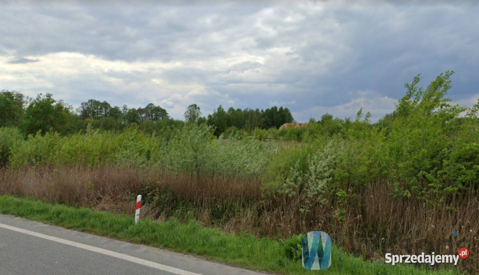 Ogłoszenie działka 6308m2 Łazy Aleja Krakowska asfalt sprzedam