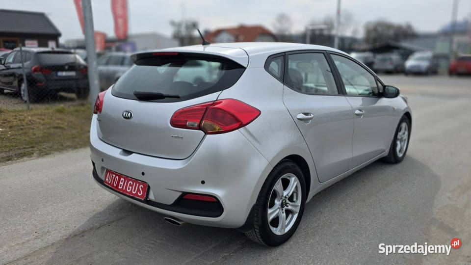 Kia Ceed klima zarejestrowana salon polska LEDY 286000km Lębork sprzedam