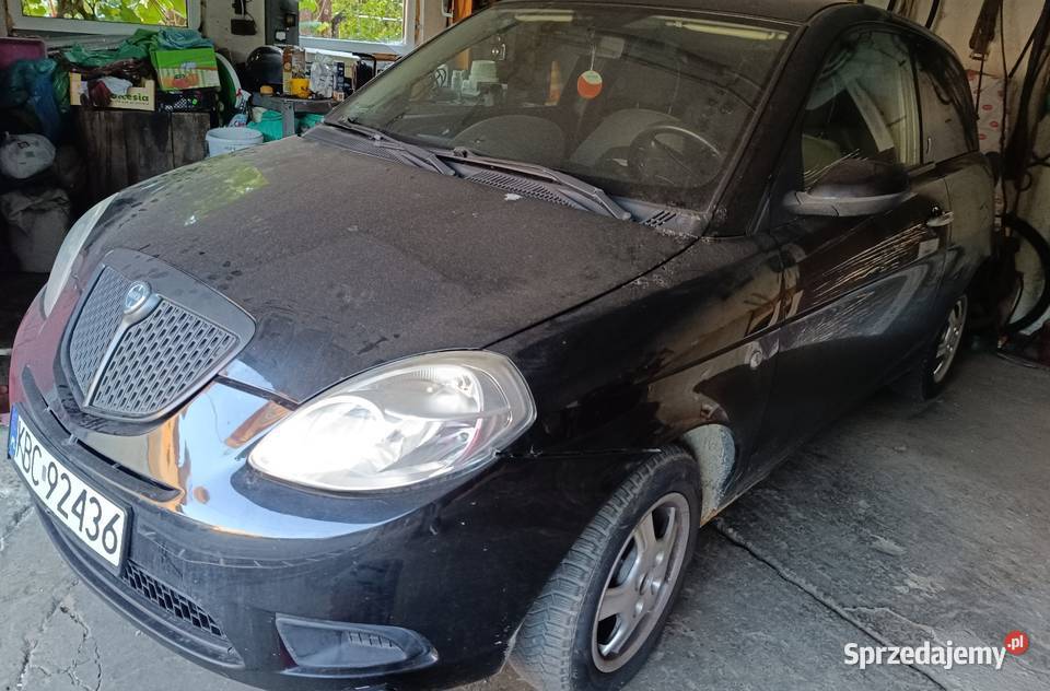 Lancia Ypsilon 12 Bochnia