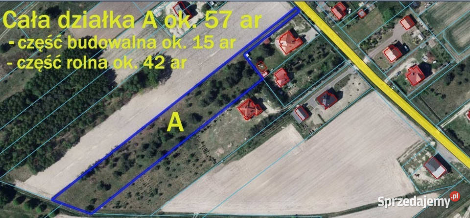 Duża działka 06 ha leśnobudowlana Wola Lisowska