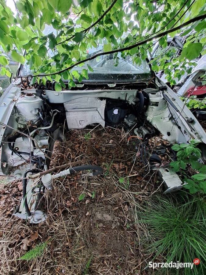 Czesci vw golf 4 20 benzyna Rok produkcji 2003 Łysomice sprzedam