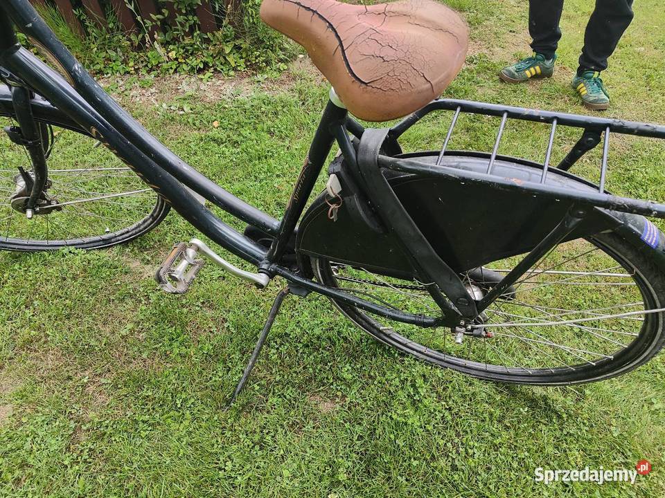Rower Sparta holenderski Miejskie