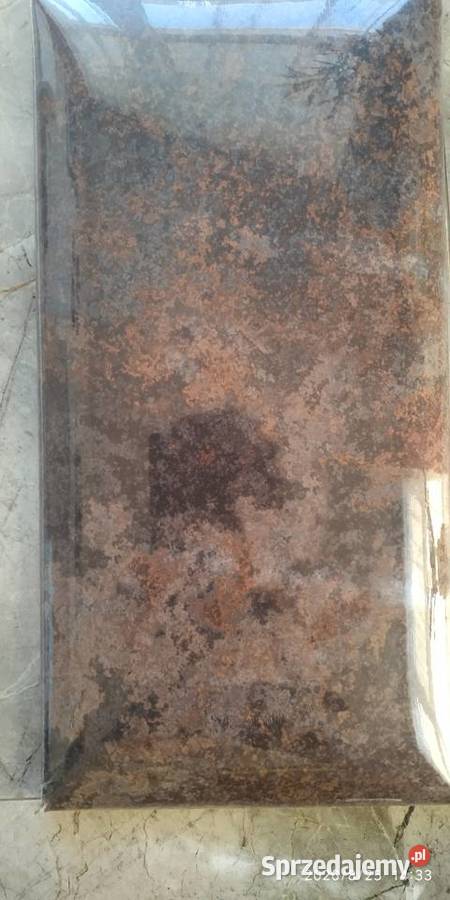 Print Blacha 60x30 panel tapicerowany pomorskie