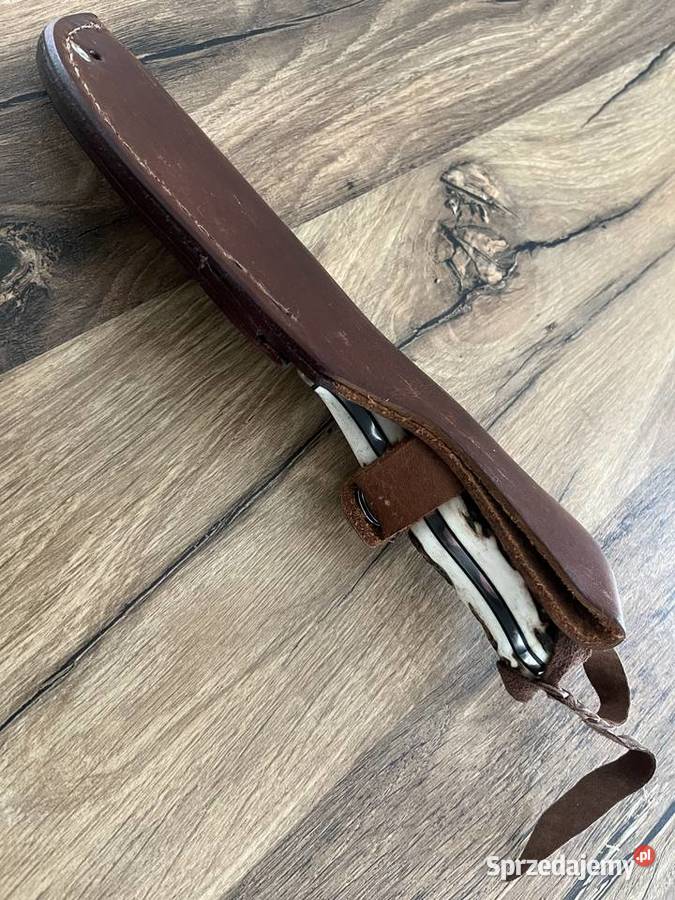 Nóż Seki Japan JUNGLEE by Tak Fukuta NOWY Sporty strzeleckie i myślistwo Mrągowo
