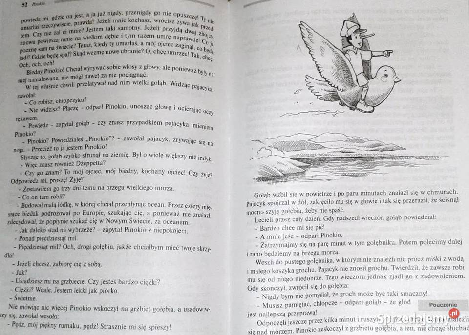 Pinokio Carlo Collodi lubelskie Chełm