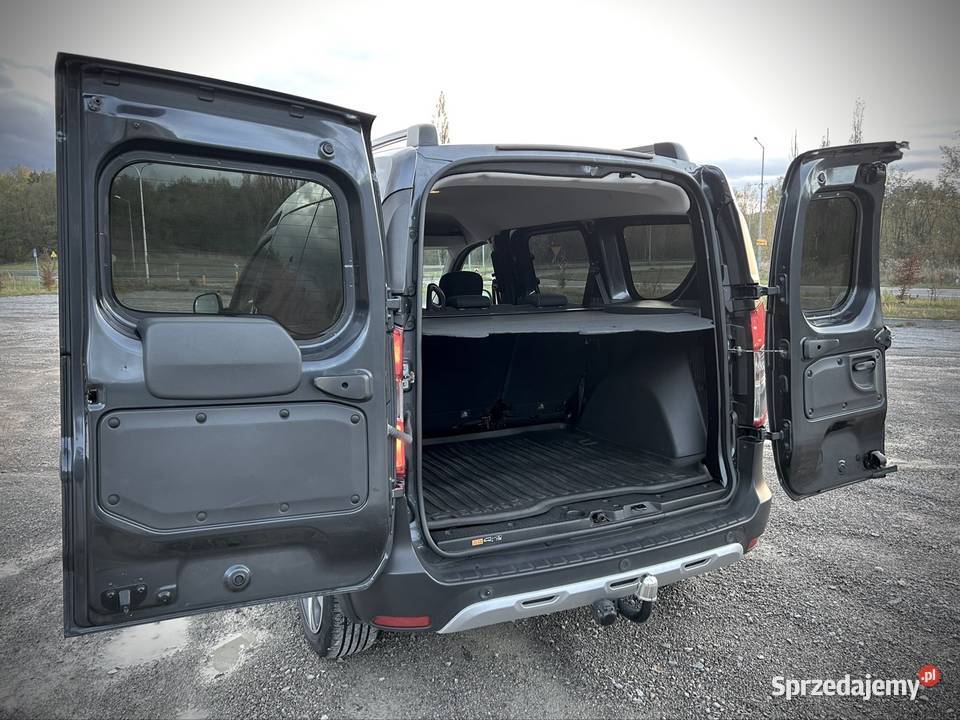 Dacia Dokker Stepway 15 Blue dCi 95 immobilizer