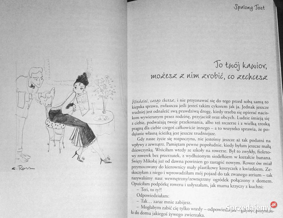 Spalony tost czyli życiowa filozofia Teri Teri Chełm sprzedam