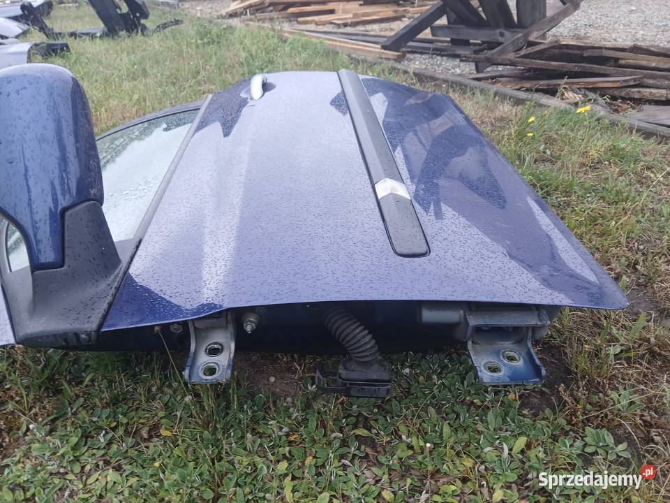 Drzwi lewe przednie kompletne Renault Clio III Rok produkcji 2007 Karoseria Radłów