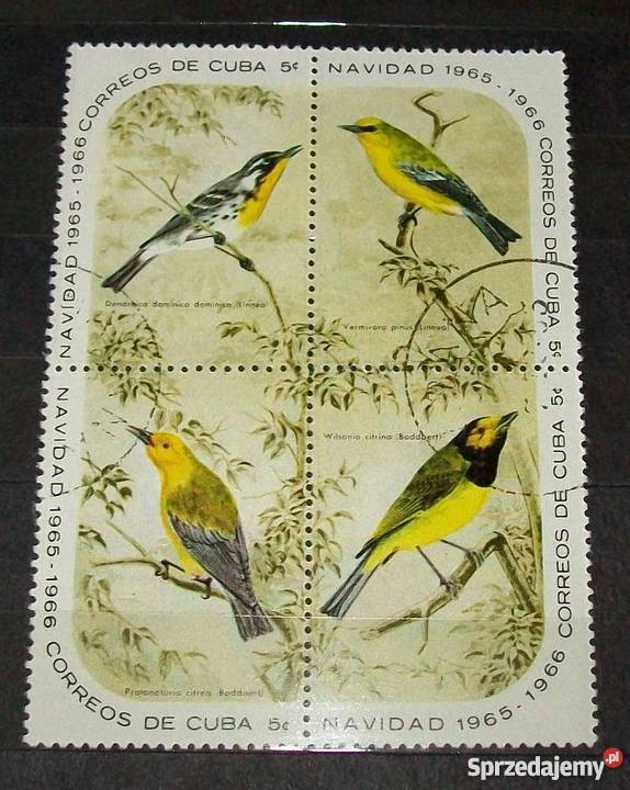 KUBA CUBA 1965r BLOK PTAKI Poznań