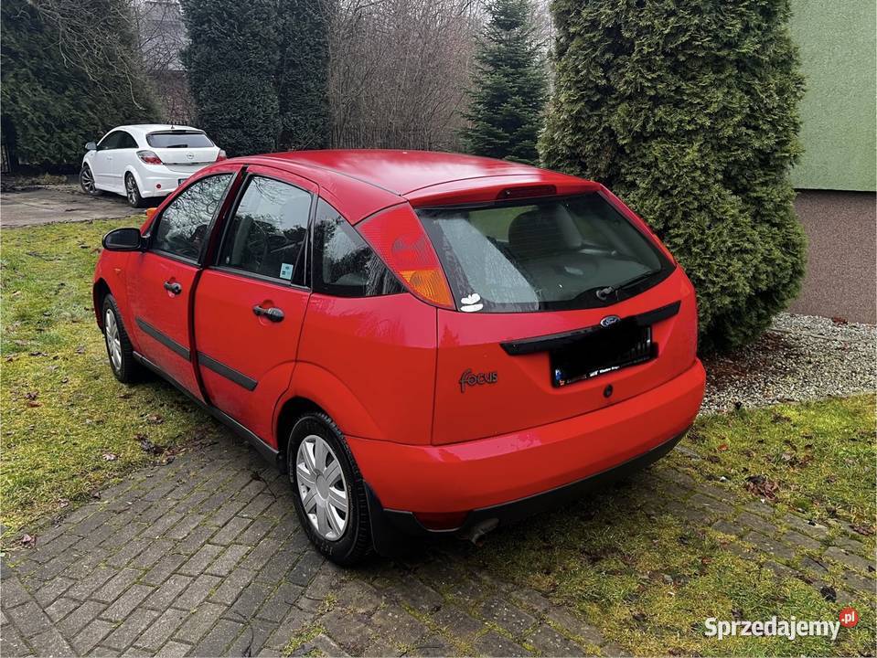 Krajowe Nowości w jednej Rodzinie Gródków