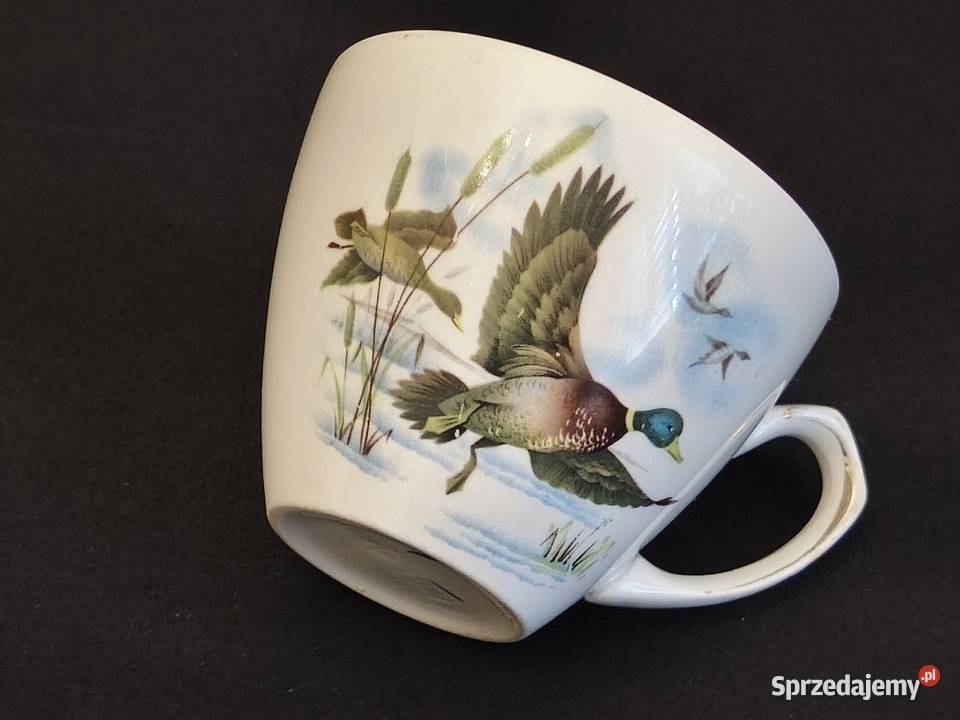 Filiżanka angielska Alfred Meakin lubelskie Chełm