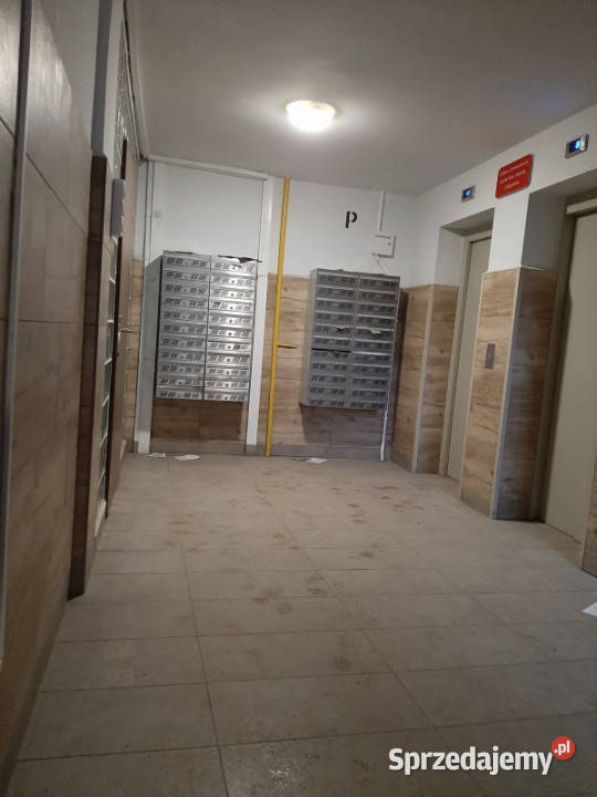 PŁOCK 3 pokoje 548 m 1 piętro BEZ POŚREDNIKÓW