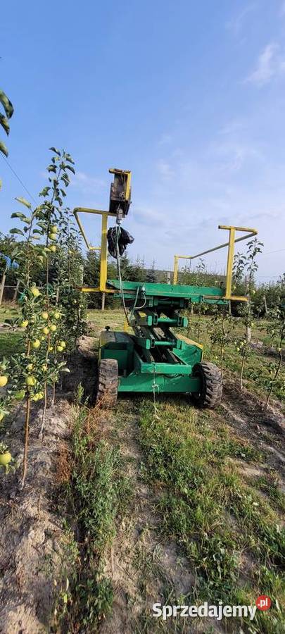 Platforma sadownicza samojezdna