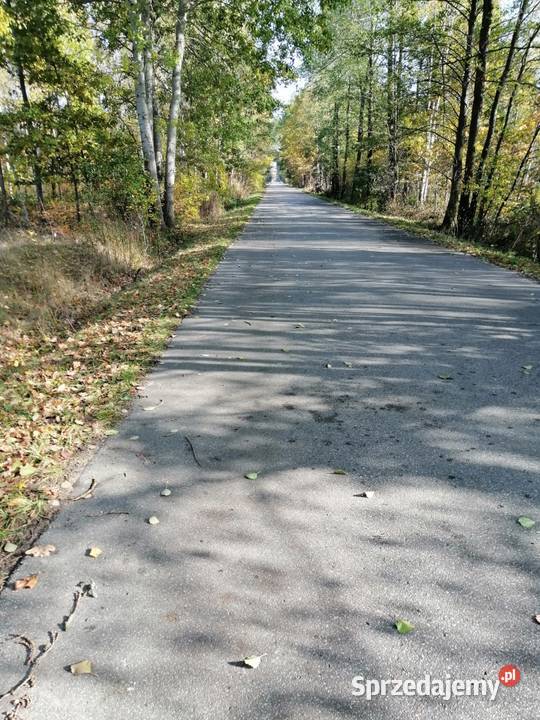 Syndyk sprzeda nieruchomość gruntową w Kukawkach mazowieckie Kukawki