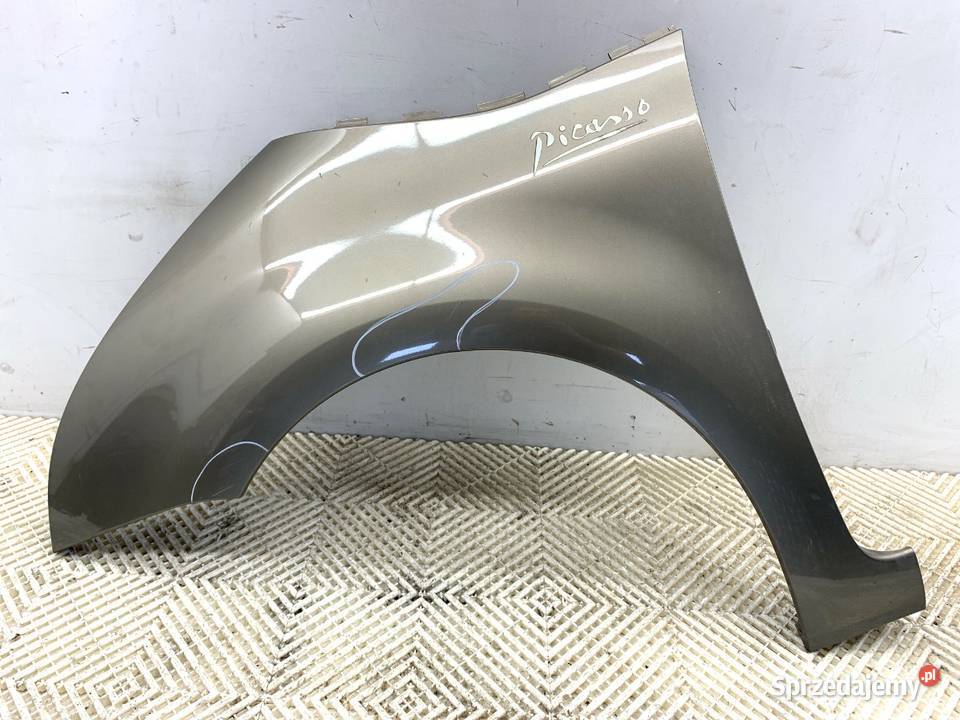 BŁOTNIK LEWY PRZÓD CITROEN C4 PICASSO I osobowe podkarpackie