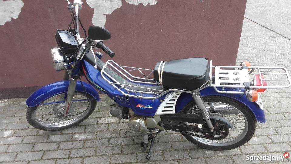 Kingway cub father 50 Olecko