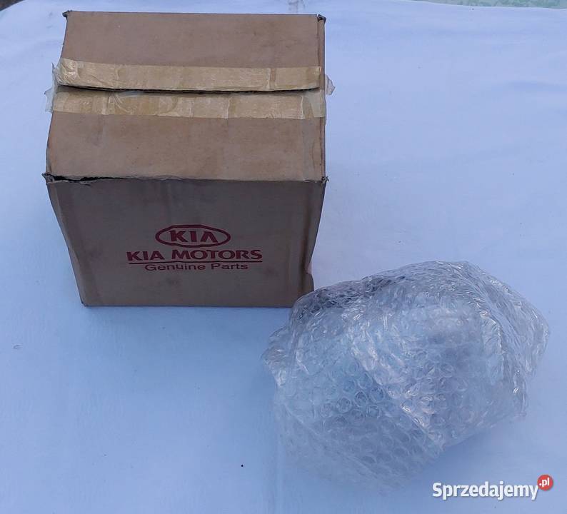 SOCZEWKA HALOGEN PRAWY KIA HYUNDAI COUPE 06 Mielęcin