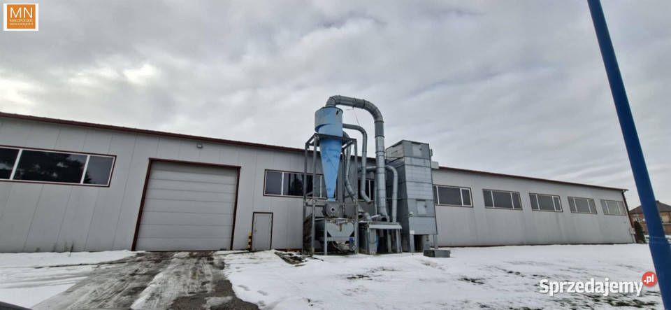 Wynajem lokalu Kazimierza Wielka 1175m2