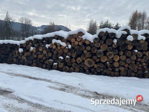 Dąb Tarcica kłoda dębowa Olszówka sprzedam