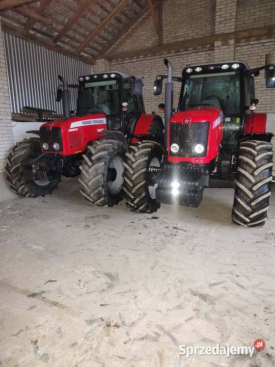 Massey Ferguson 6480 Krasnystaw
