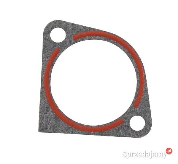 Uszczelka kołnierza 273326S