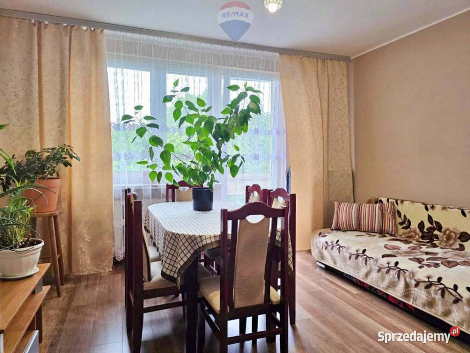 Centrum a jednak cisza i zieleń oknem Sprzedaż śląskie Bielsko-Biała