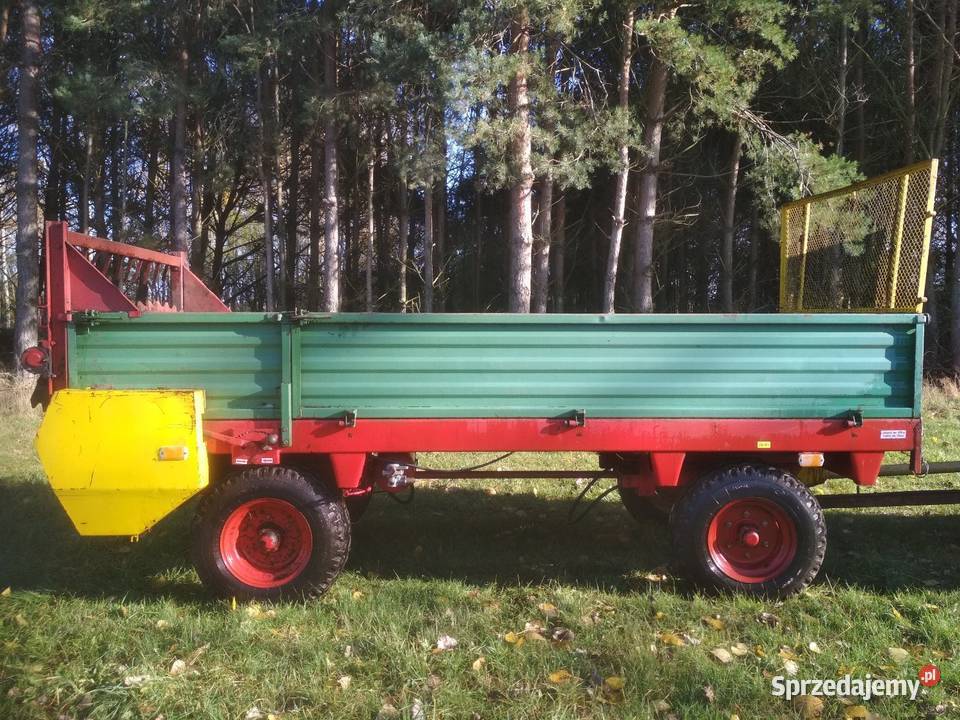 Rozrzutnik Czarnabiałostocka stan idealny Złoczew