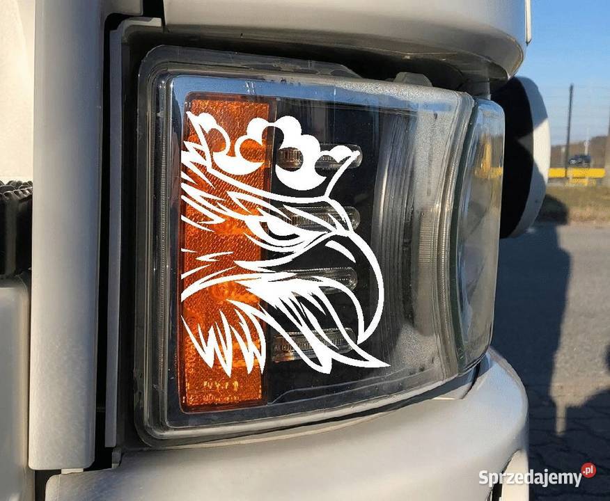 Naklejka wlepka PUSSY 80mm full color druk folia wielkopolskie