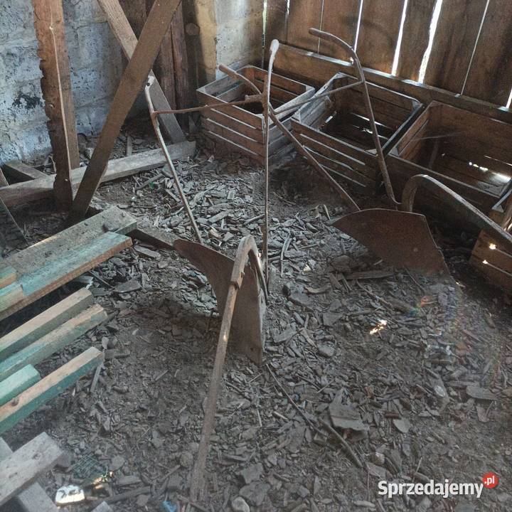 Pługi konne zabytkowe Pozostałe