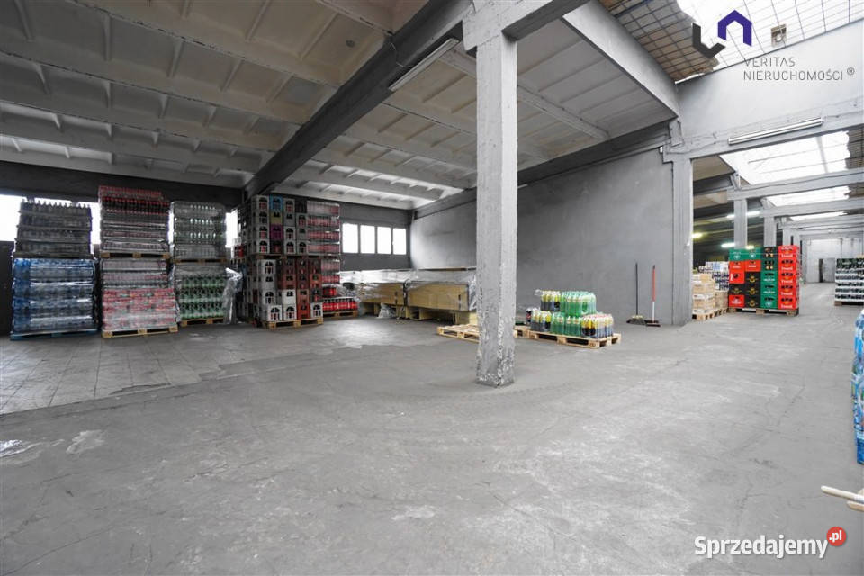 Lokal Katowice 600m2 600m2 Wynajem śląskie