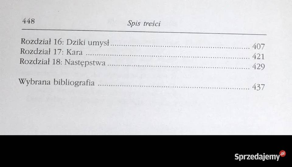 Krucjata alpinistów Naziści w Himalajach Chełm