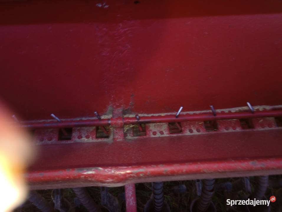 Siewnik nieuszkodzony świętokrzyskie Pawłów