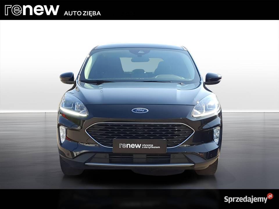 Kuga 15 EcoBoost FWD Trend śląskie