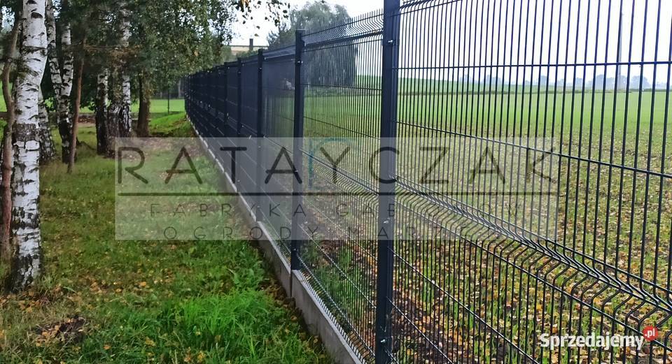 Ogrodzenia panelowe 2D i 3D sprzedaż i montaż Budowa