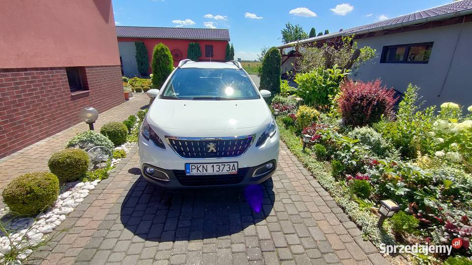 Peugeot 2008 ACTIVE Golina