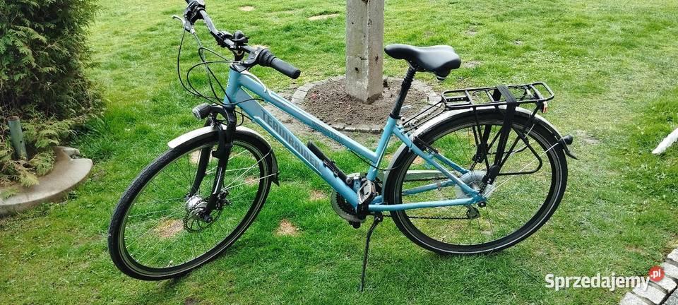 Sprzedam rower trekkingowy teamraider koła 28 Bielsko-Biała sprzedam