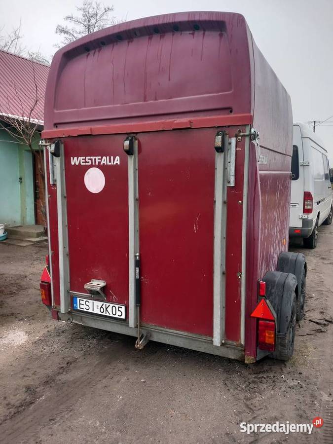 Transport koni ogiery klacze źrebaki cała Polska łódzkie Błaszki