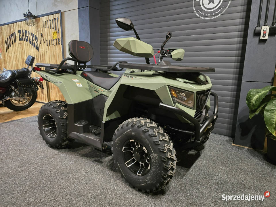 ASIX Inny Asix Cyber 300 HIT NA 2026 4x4 gigant Rok produkcji 2026 wielkopolskie Bicz sprzedam