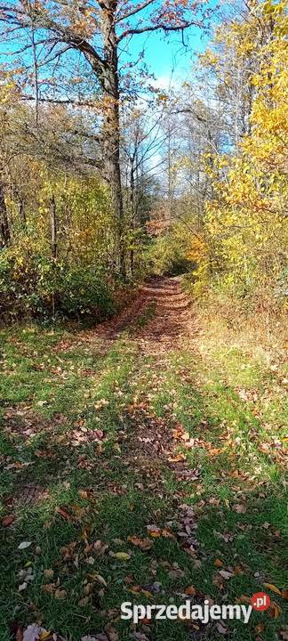 Dzialka lesna z dojazdami Pozostałe Andrychów